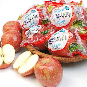 신선한 세척사과 2.5kg(12~14과) 외 5종 대표이미지 섬네일