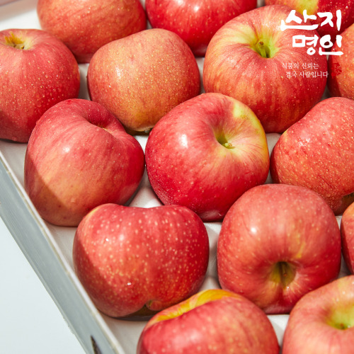 [산지명인] 경북 햇 꿀 사과 2kg 고당도 선별