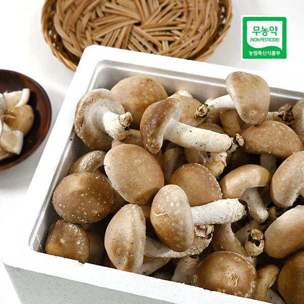 [천년산애 농장] 햇살담은 무농약인증 신선한 생표고버섯, 1.5kg