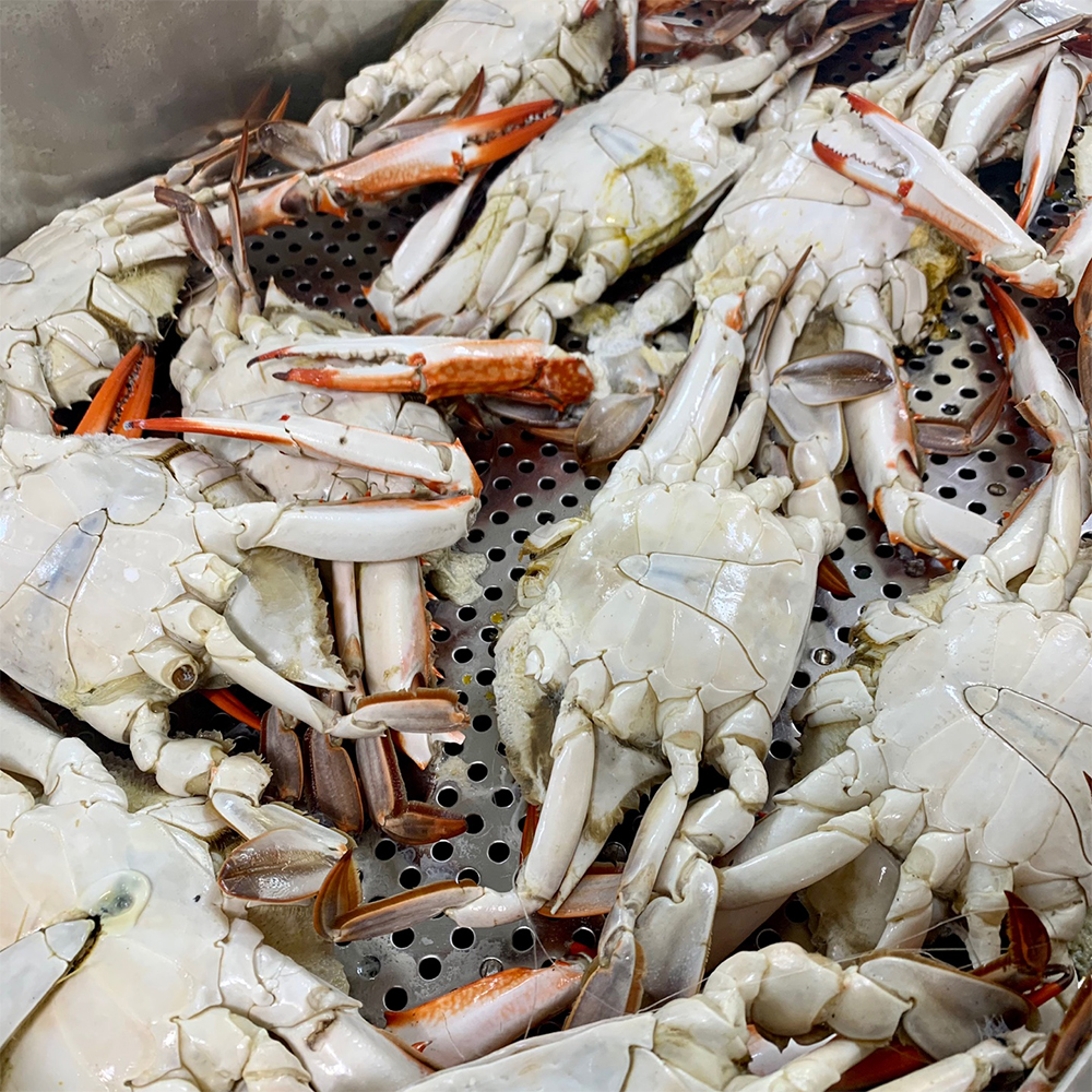 국내산 제철 활 숫꽃게 게장 탕 찜용 1kg 3-25미