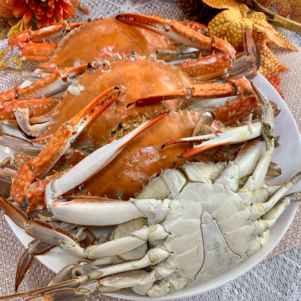 국내산 제철 활 숫꽃게 게장 탕 찜용 1kg 3-25미 대표이미지 섬네일