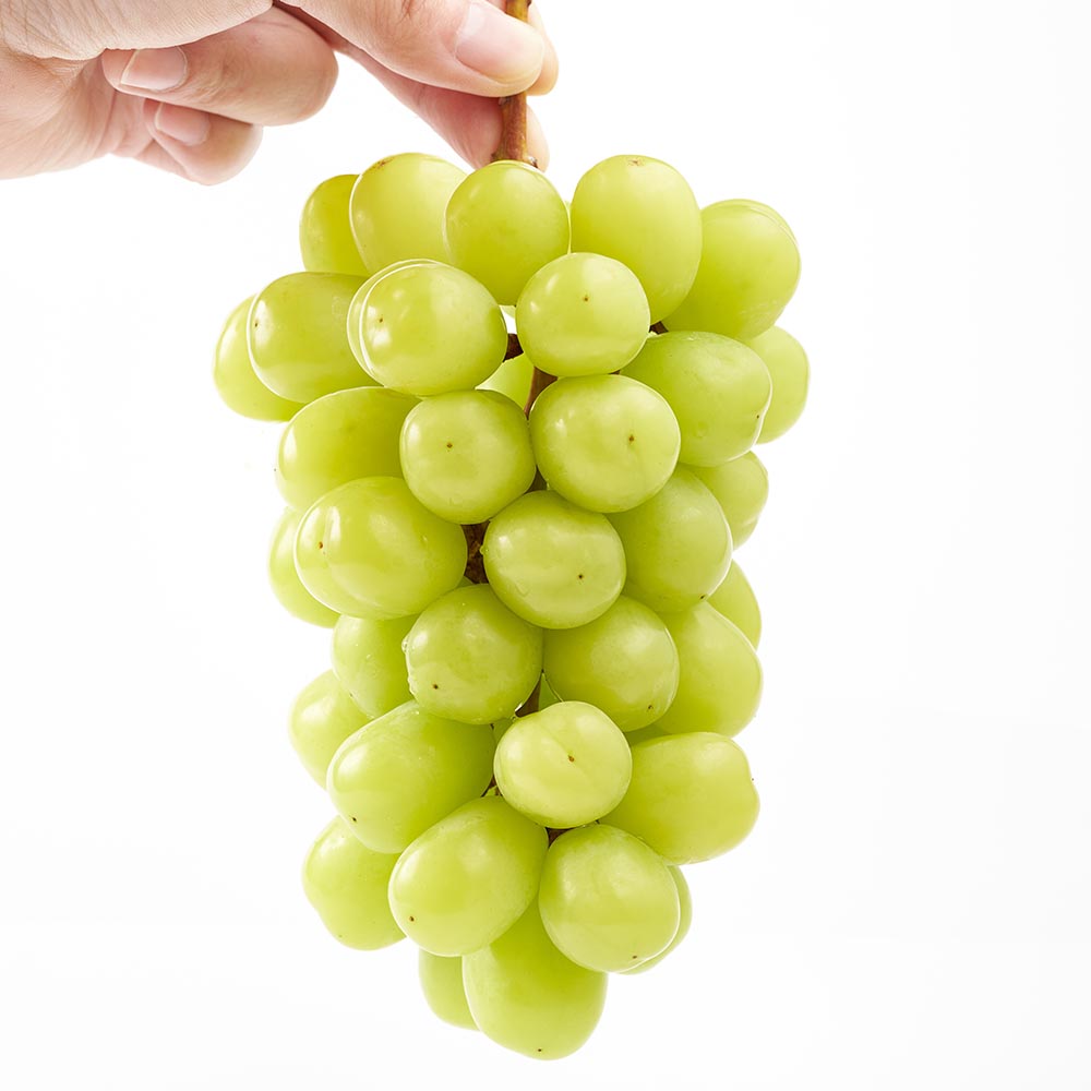 국내산 김천 고당도 샤인머스켓 특품 1-2kg 2-6수
