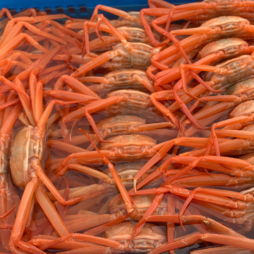 [외할머니밥상] 구룡포 자숙 홍게 2kg 3kg 5kg / 박달형 고급 프리미엄