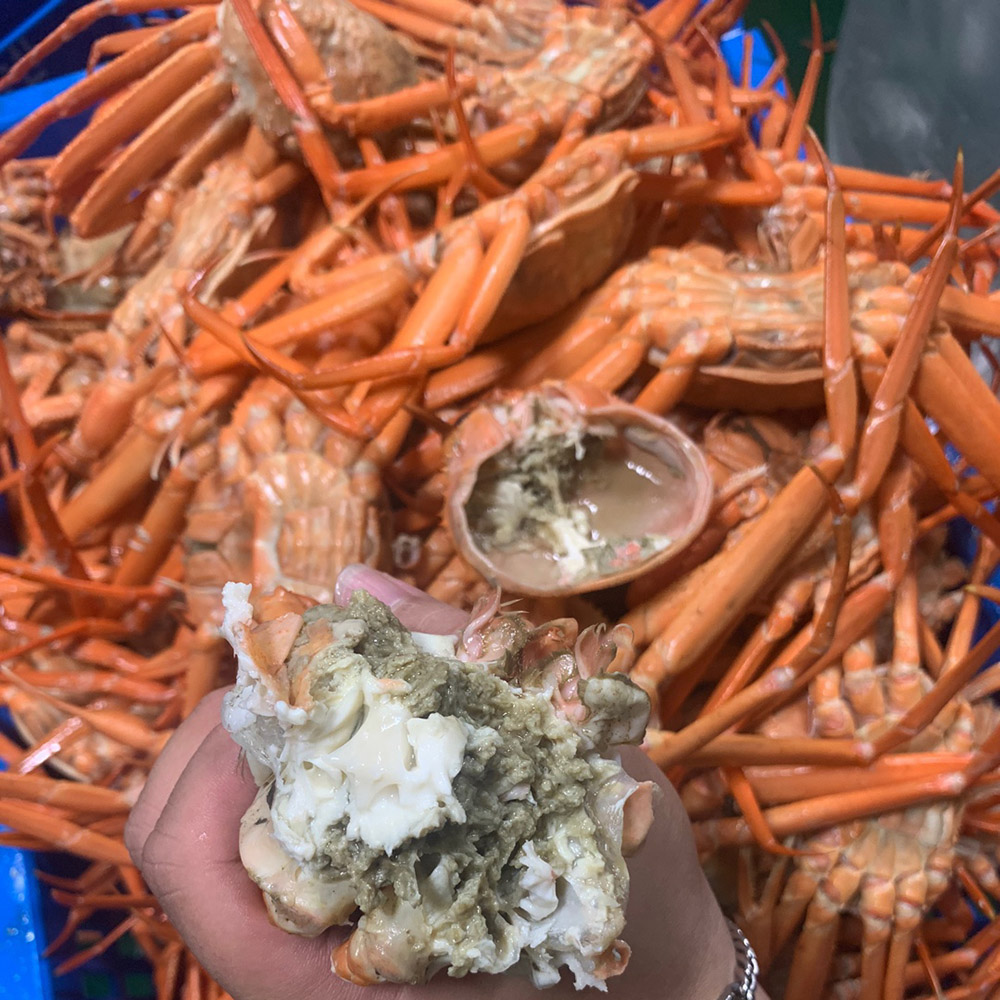 [외할머니밥상] 구룡포 자숙 홍게 2kg 3kg 5kg / 박달형 고급 프리미엄