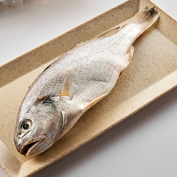 제주 백조기 (250g 이상/대형) 대표이미지 섬네일