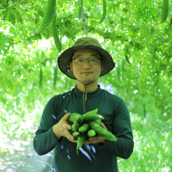 바른하루 단비농원 직접재배 유기농 여주환1kg