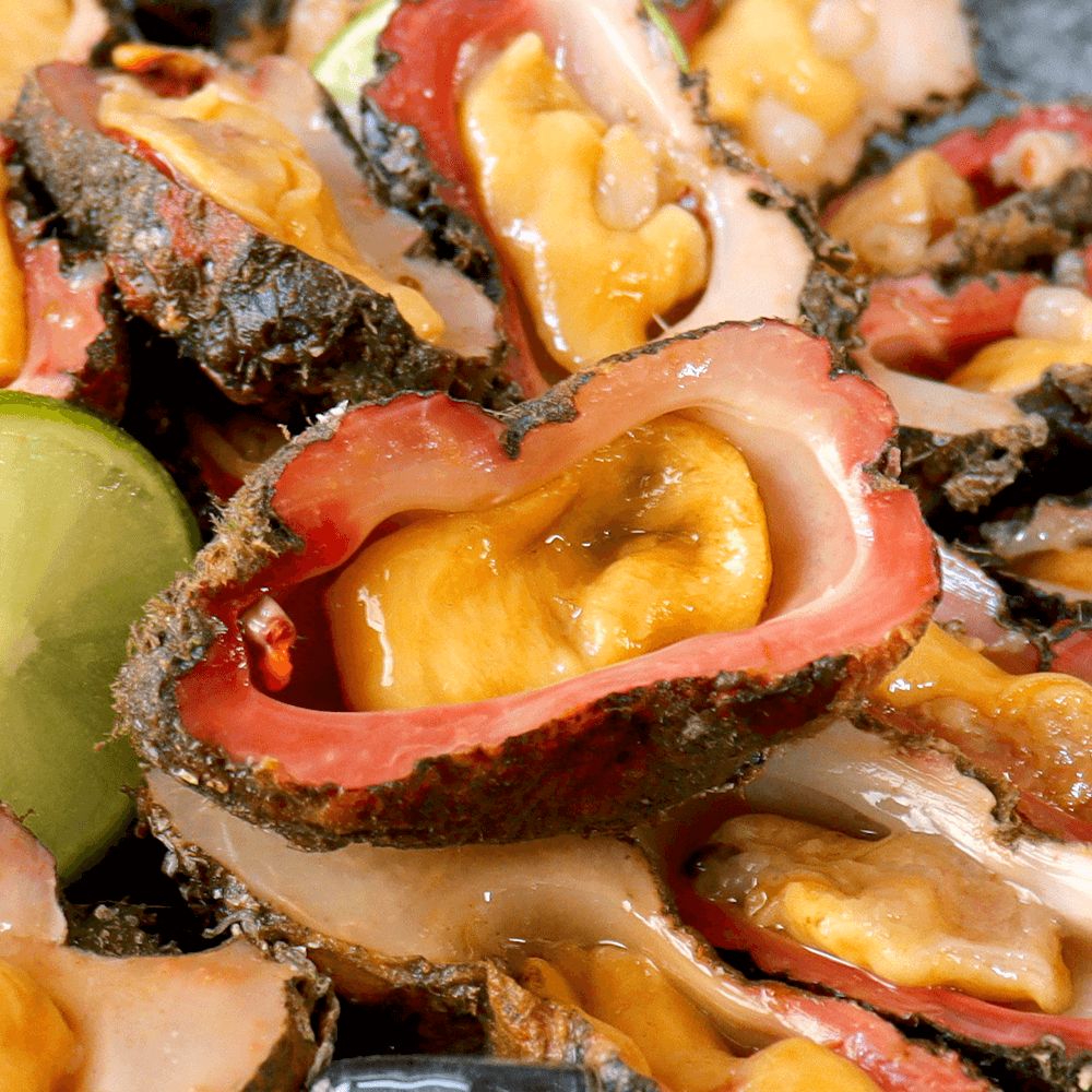 통영 돌멍게 1kg 자연산 멍게 해녀 머구리 당일채취