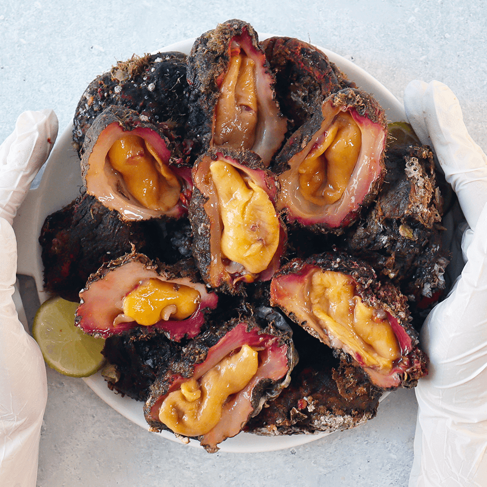 통영 돌멍게 1kg 자연산 멍게 해녀 머구리 당일채취