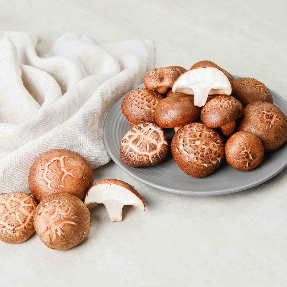 생표고버섯 파지 표고버섯 1kg 못난이