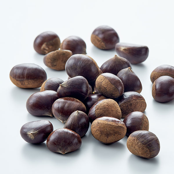 충주 햇 알밤(대/1kg)