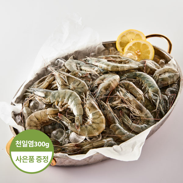 [천일염 증정] 신안 생왕새우 (1kg/30미내외)