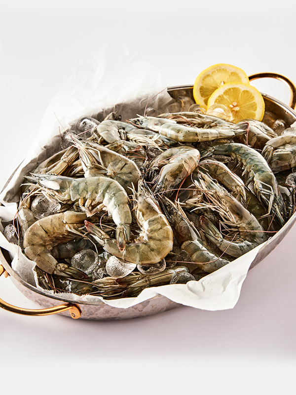 신안 생왕새우 (1kg/35-40미내외)