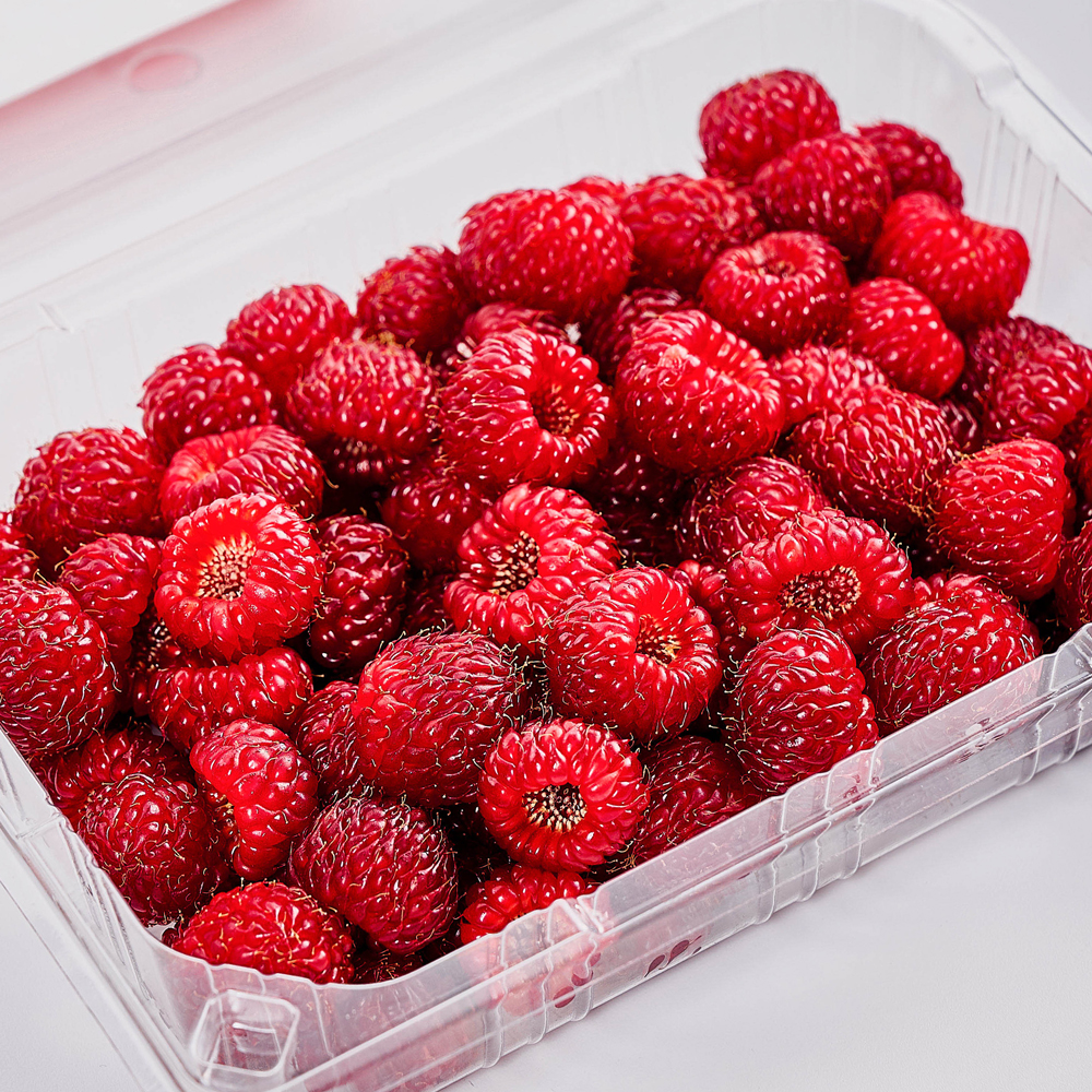 냉동 산딸기 급냉 500g