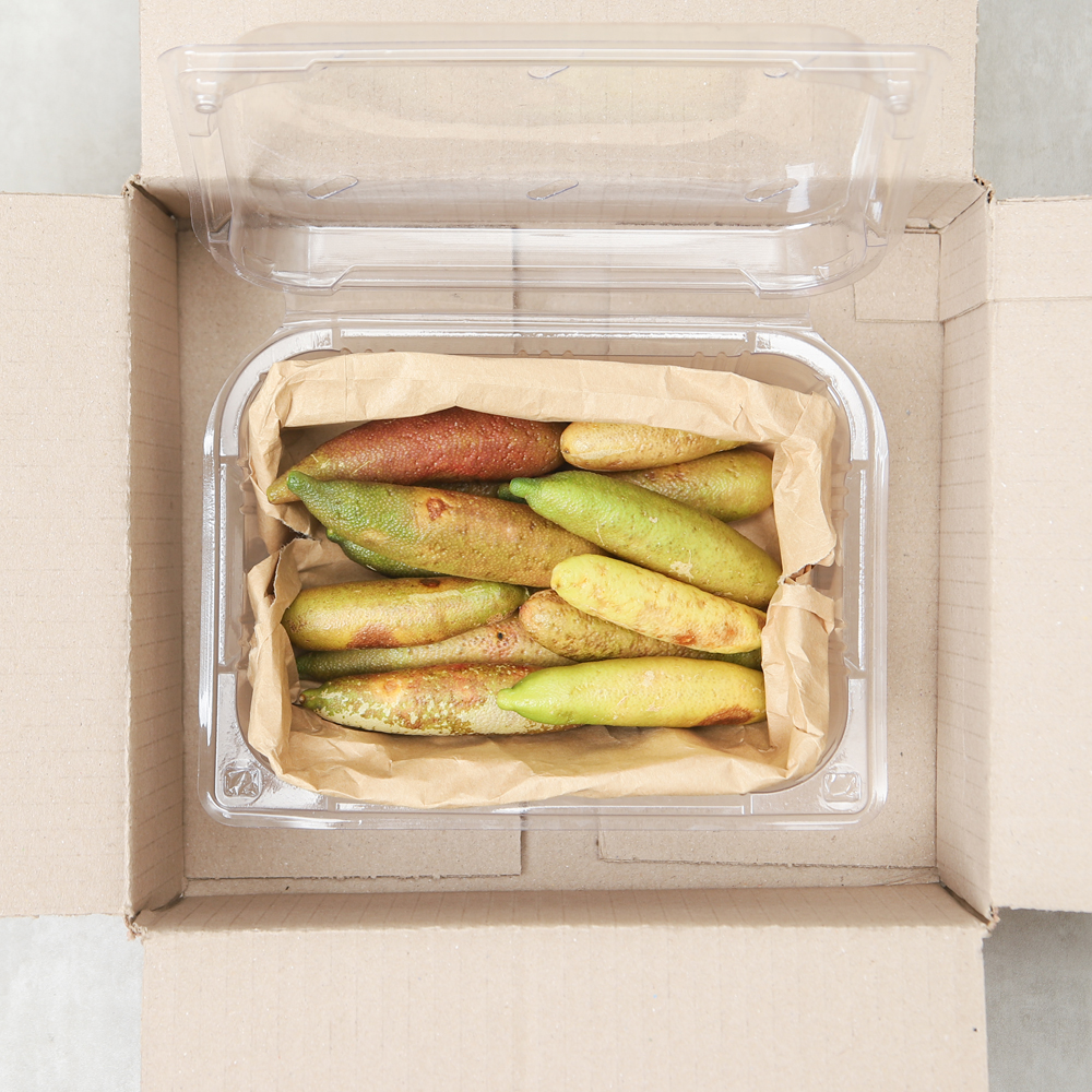 핑거라임 캐비어라임 생과 100g
