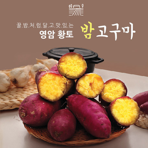 [영암 황토] 베니하루카 햇 꿀밤 고구마 3kg (특상/중상)