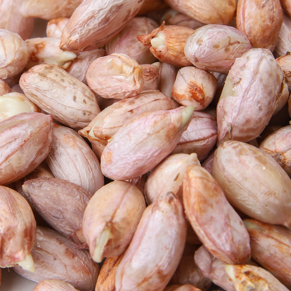 생땅콩 햇땅콩 국산 피땅콩 500g 1kg 2kg 3kg