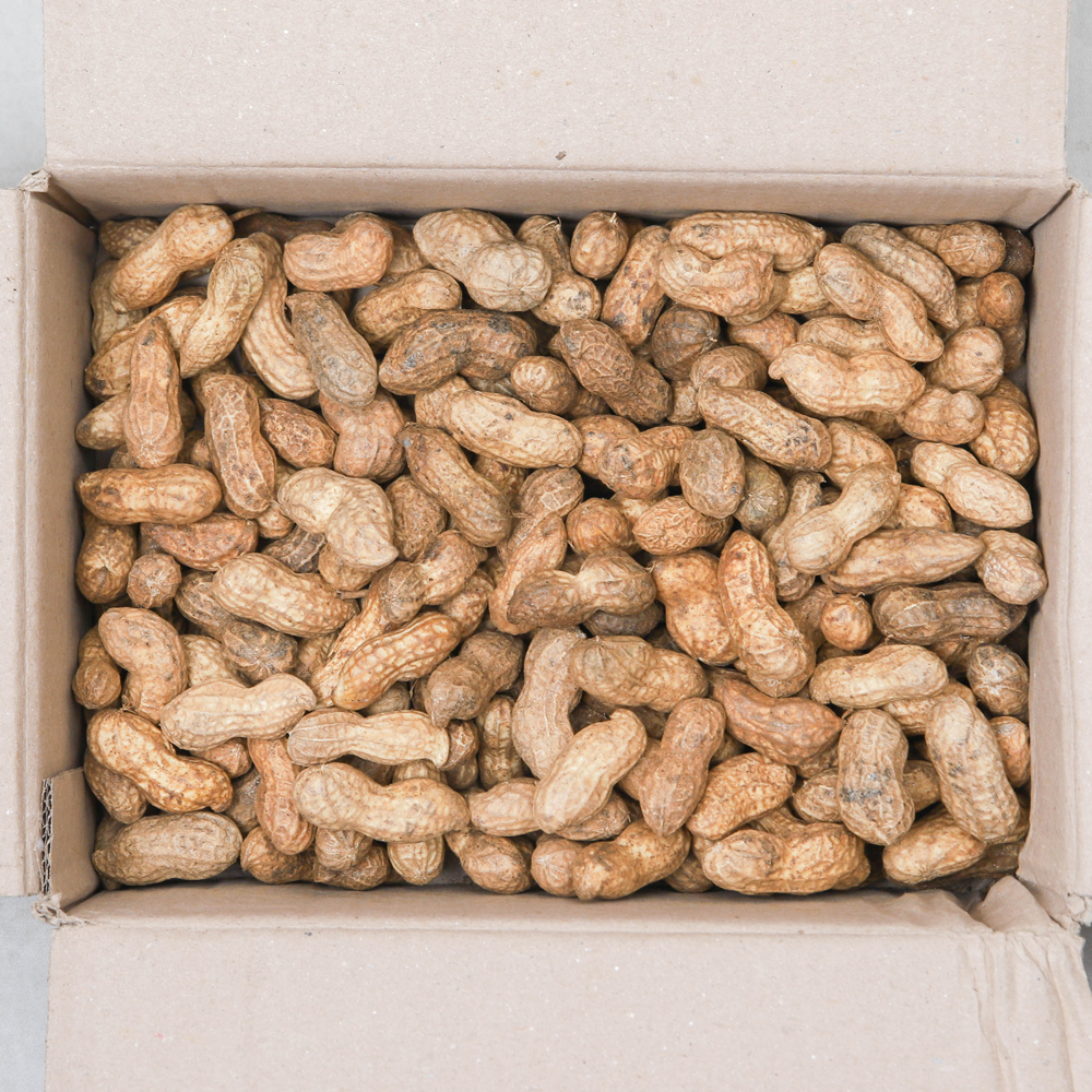 생땅콩 햇땅콩 국산 피땅콩 500g 1kg 2kg 3kg