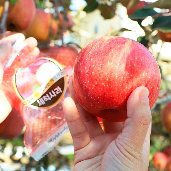 [해피사과] 해피 세척사과 3kg 17과