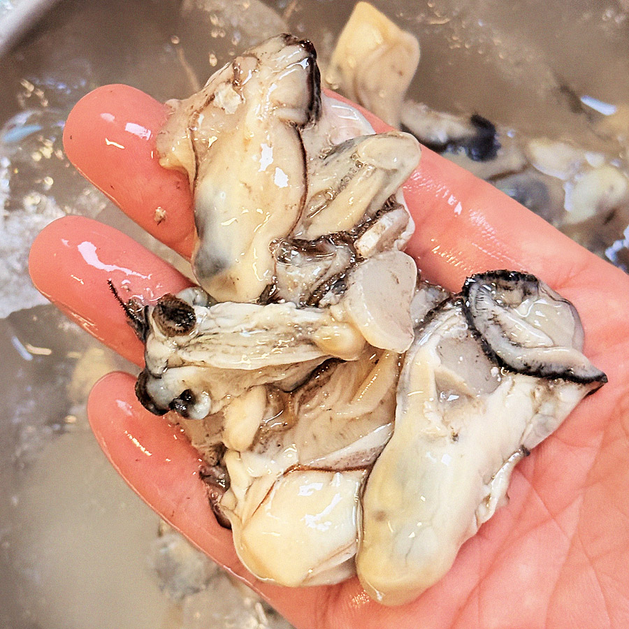 청정바다에서 수확된 시원하고 싱싱한 통영 생굴 1kg