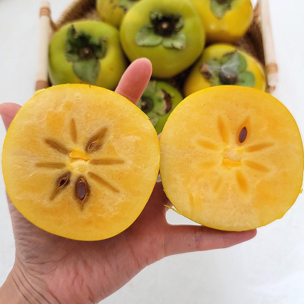 국내산 고당도 태추단감 중과 대과 2-4kg 대표이미지 섬네일
