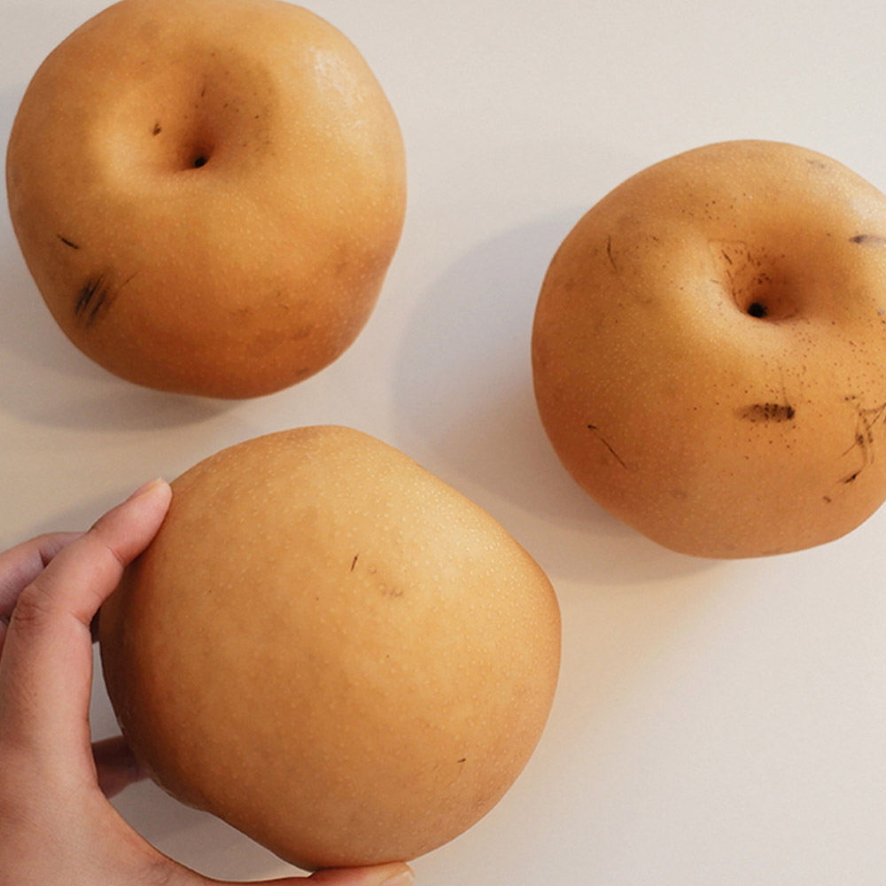 국내산 가정용 햇 배 중과 3kg 5kg 4-12과