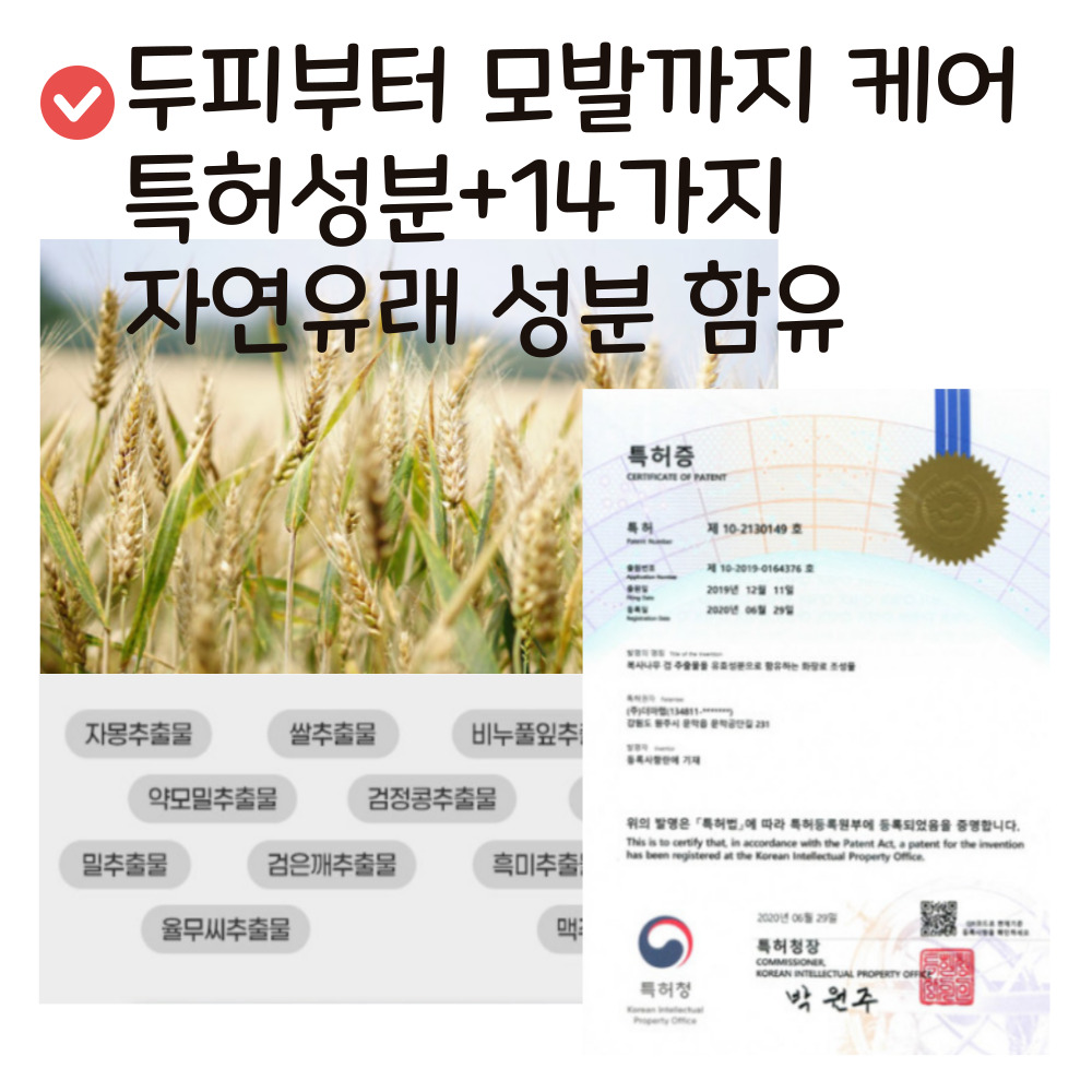그린비비 어린이 키즈 두피맞춤 비건샴푸 500ml 유아 초등학생 추천