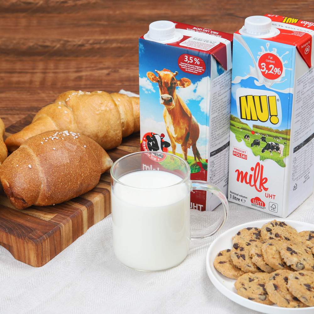 믈레코비타 멸균우유 1000 폴란드 수입 우유 1L 12개