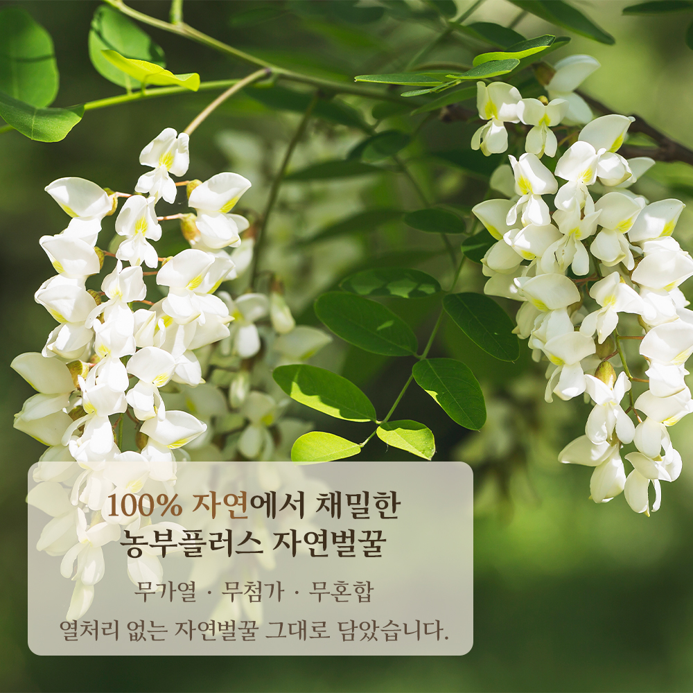 농부플러스 국산 토종꿀 밤꿀