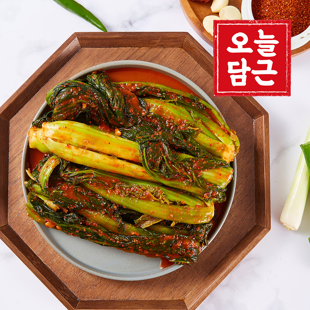 [오늘담근] 전라도 갓김치 2kg ~ 10kg