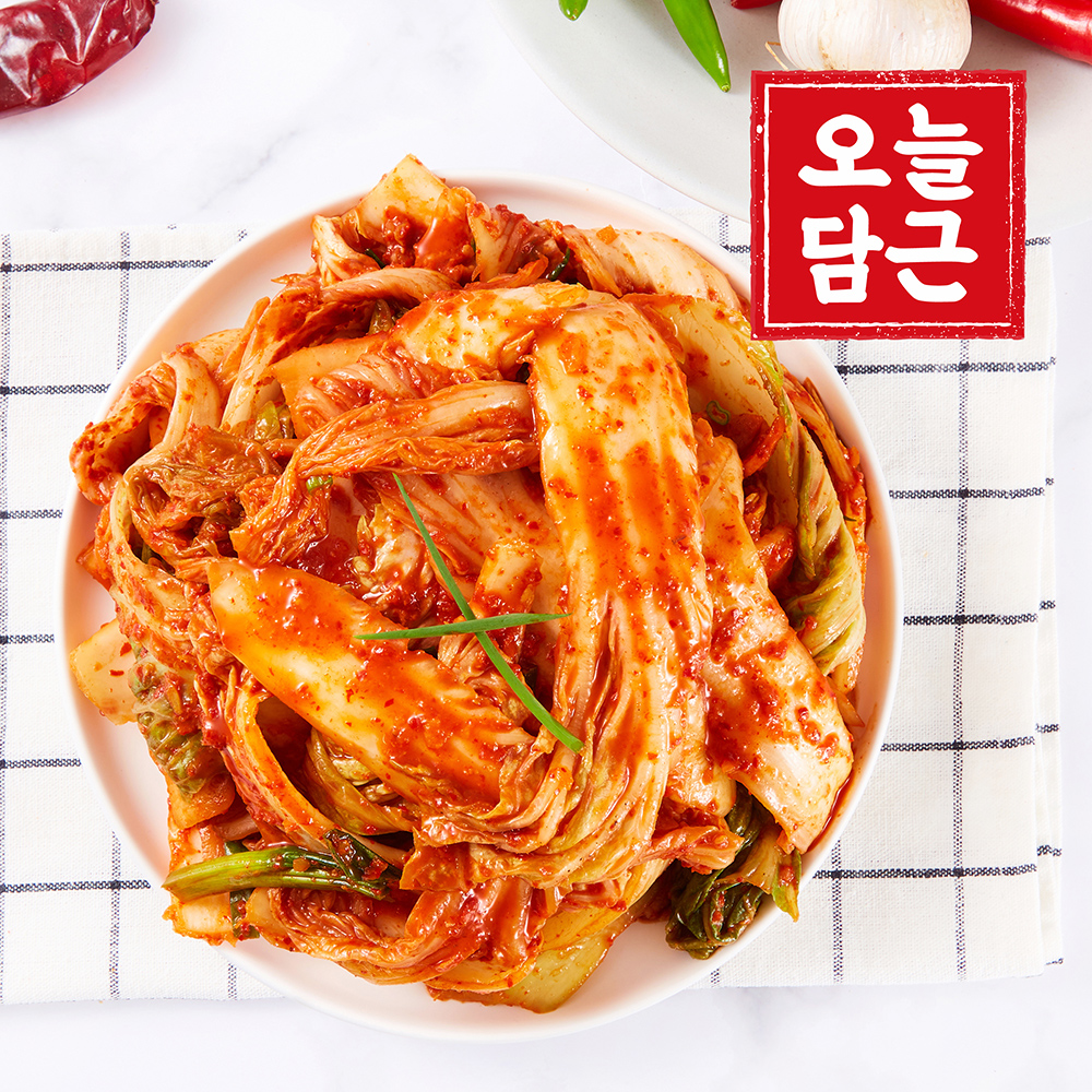 [오늘담근] 전라도 겉절이 2kg ~ 5kg