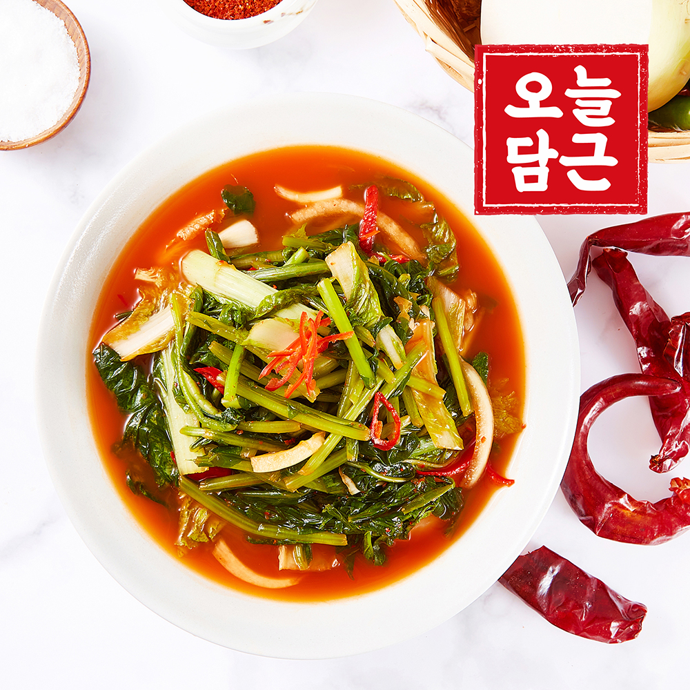 [오늘담근] 전라도 열무물김치 2kg ~ 5kg
