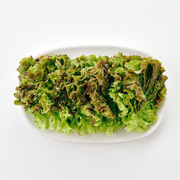 적상추(120g) / 무농약이상