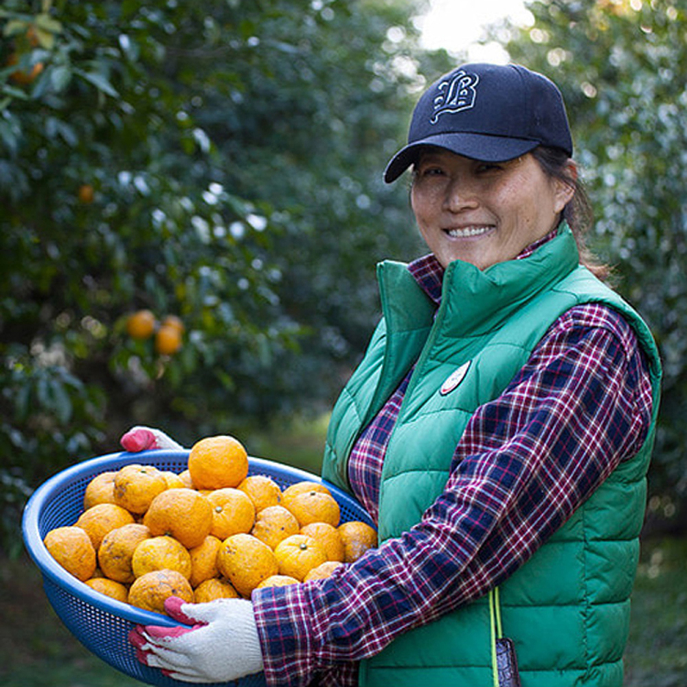 생유자 유자생과 2kg 3kg 5kg 10kg 유기농