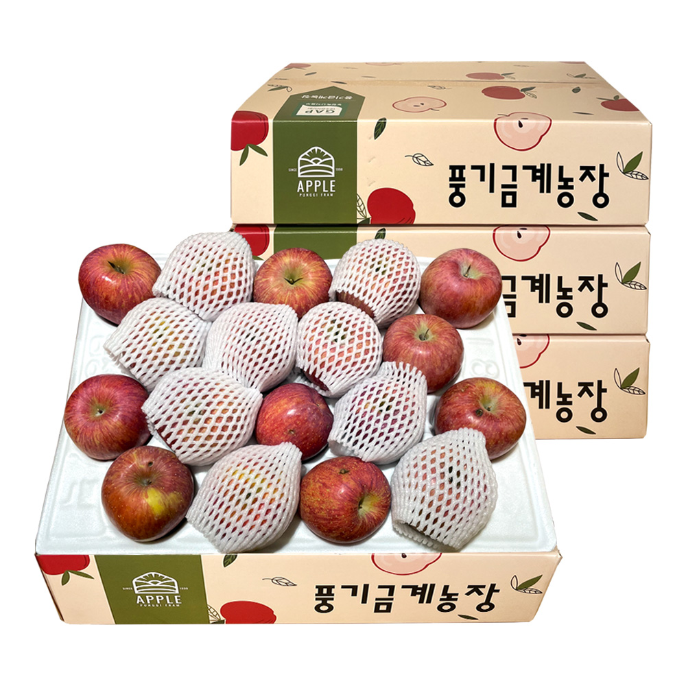 풍기금계농장 영주 부사 가정용 공품 사과 2kg/5kg