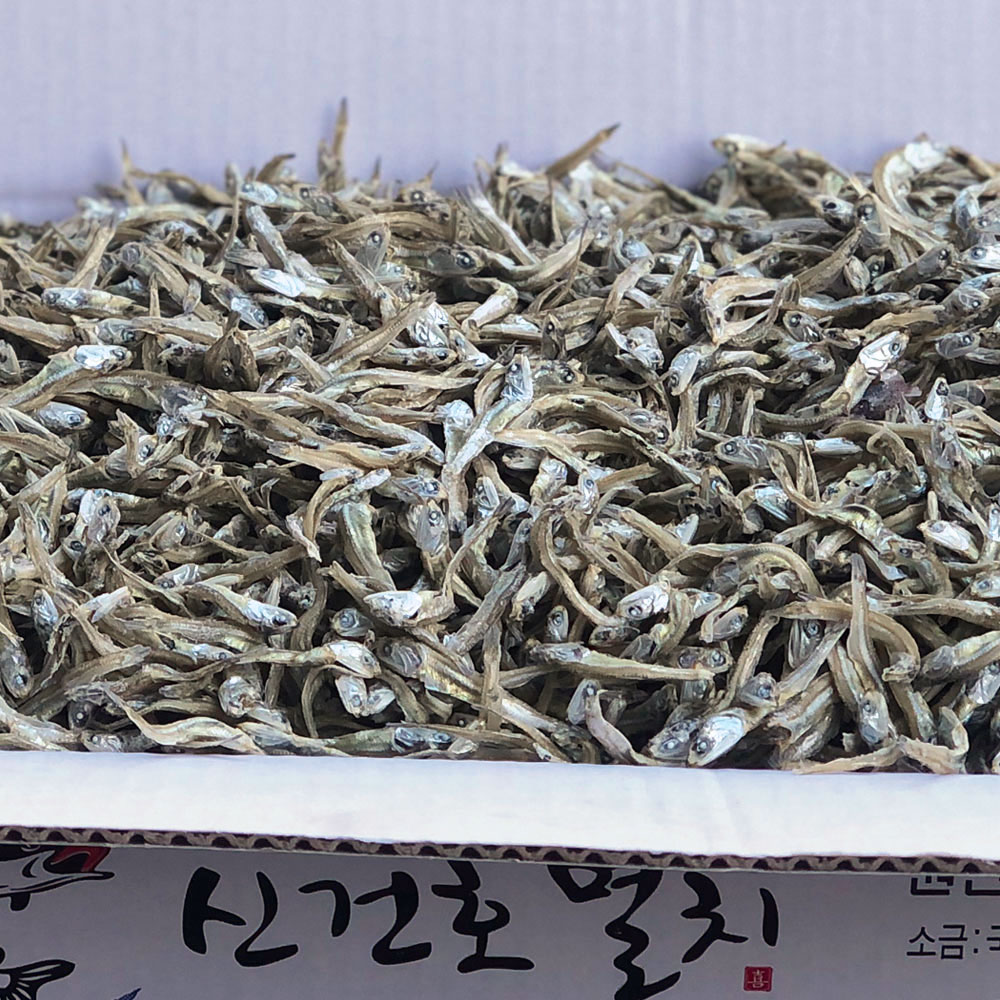 직접잡은 햇 가이리멸치(상급) 300g~1.5kg