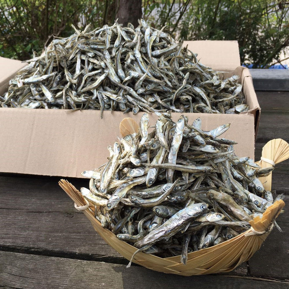 직접잡은 햇 고바멸치(상급) 300g~1.5kg