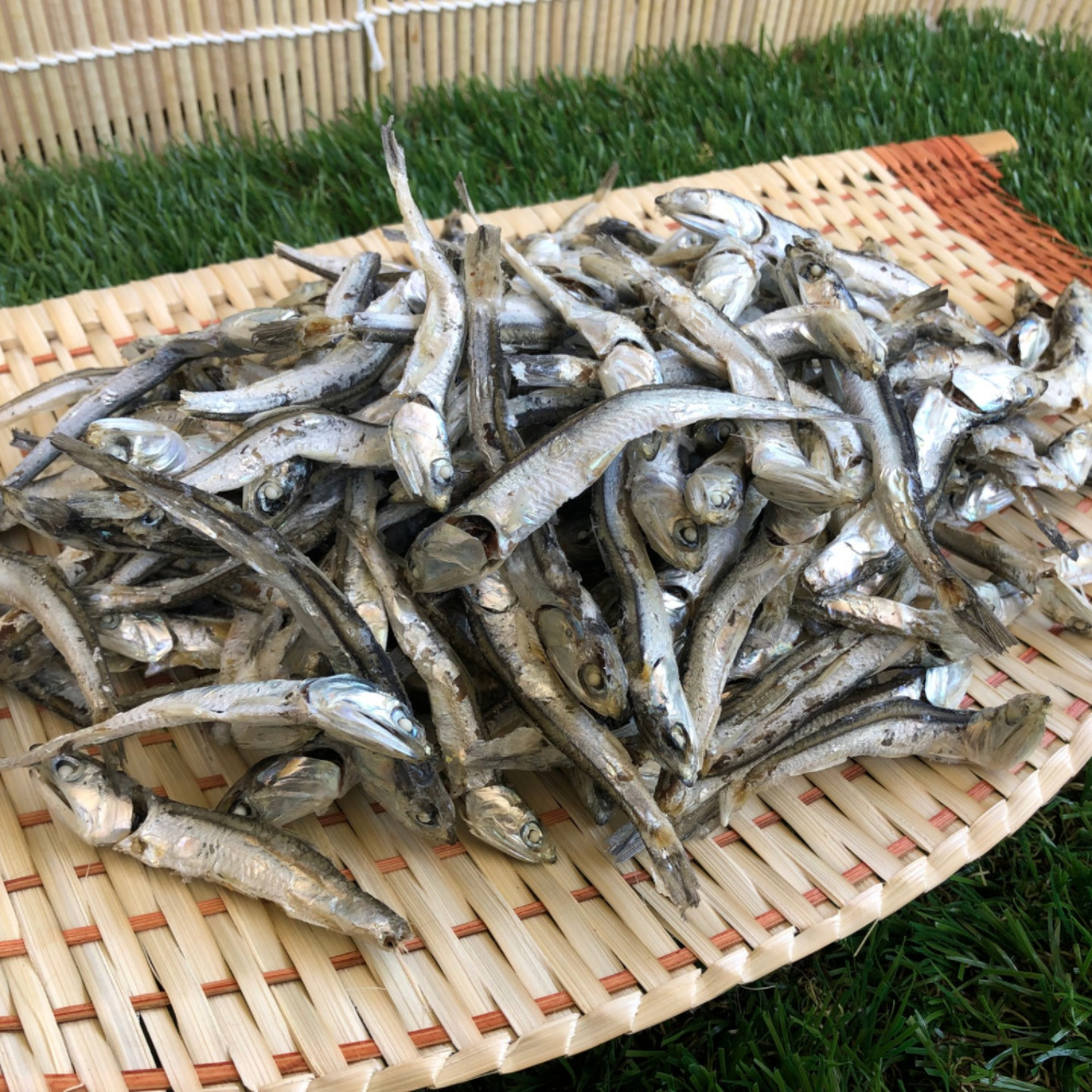 직접잡은 햇 다시멸치(상급) 300g~1.5kg