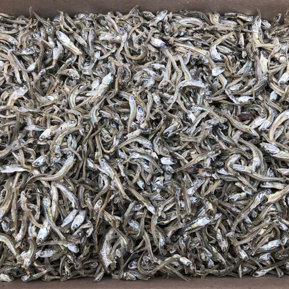 볶음용 햇 가이리멸치(알뜰형) 1.5kg