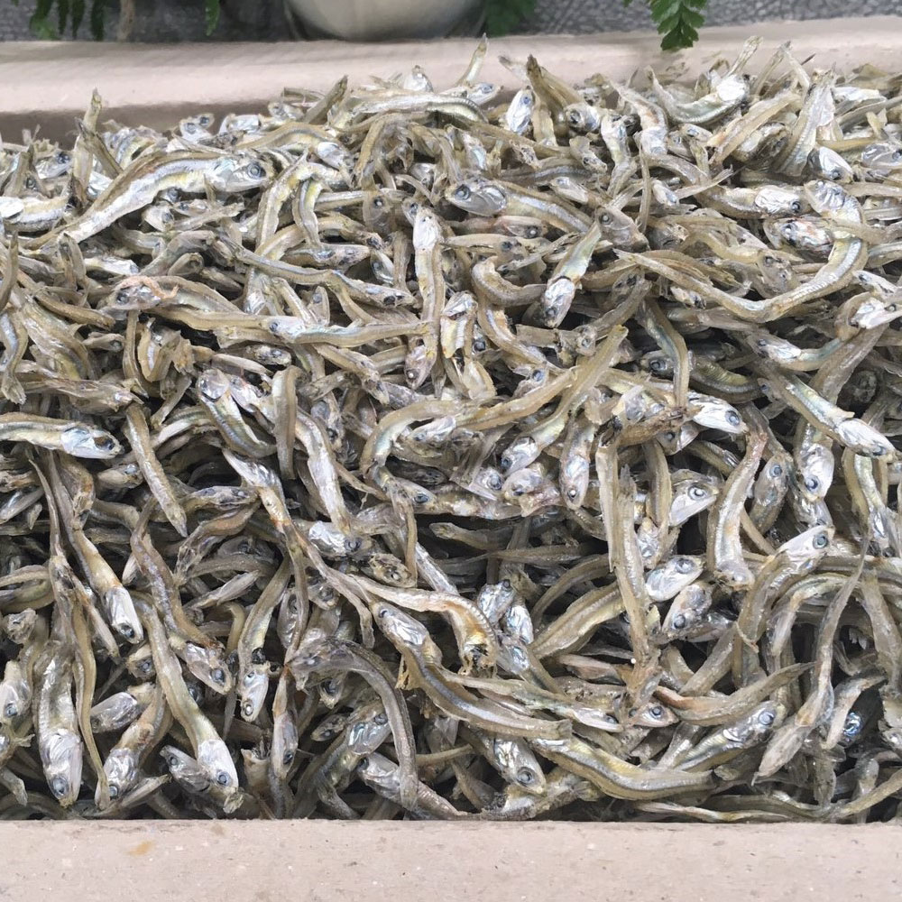 볶음용 햇 가이리멸치(알뜰형) 1.5kg