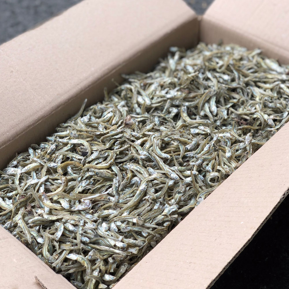 볶음용 햇 가이리멸치(알뜰형) 1.5kg