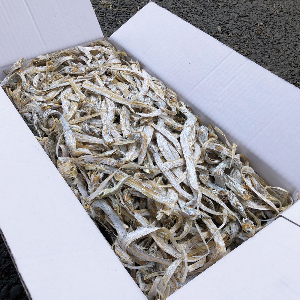 볶음/조림용 국산 햇 건갈치 500g