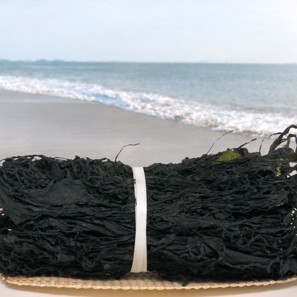 완도산 햇 미역(상급) 500g