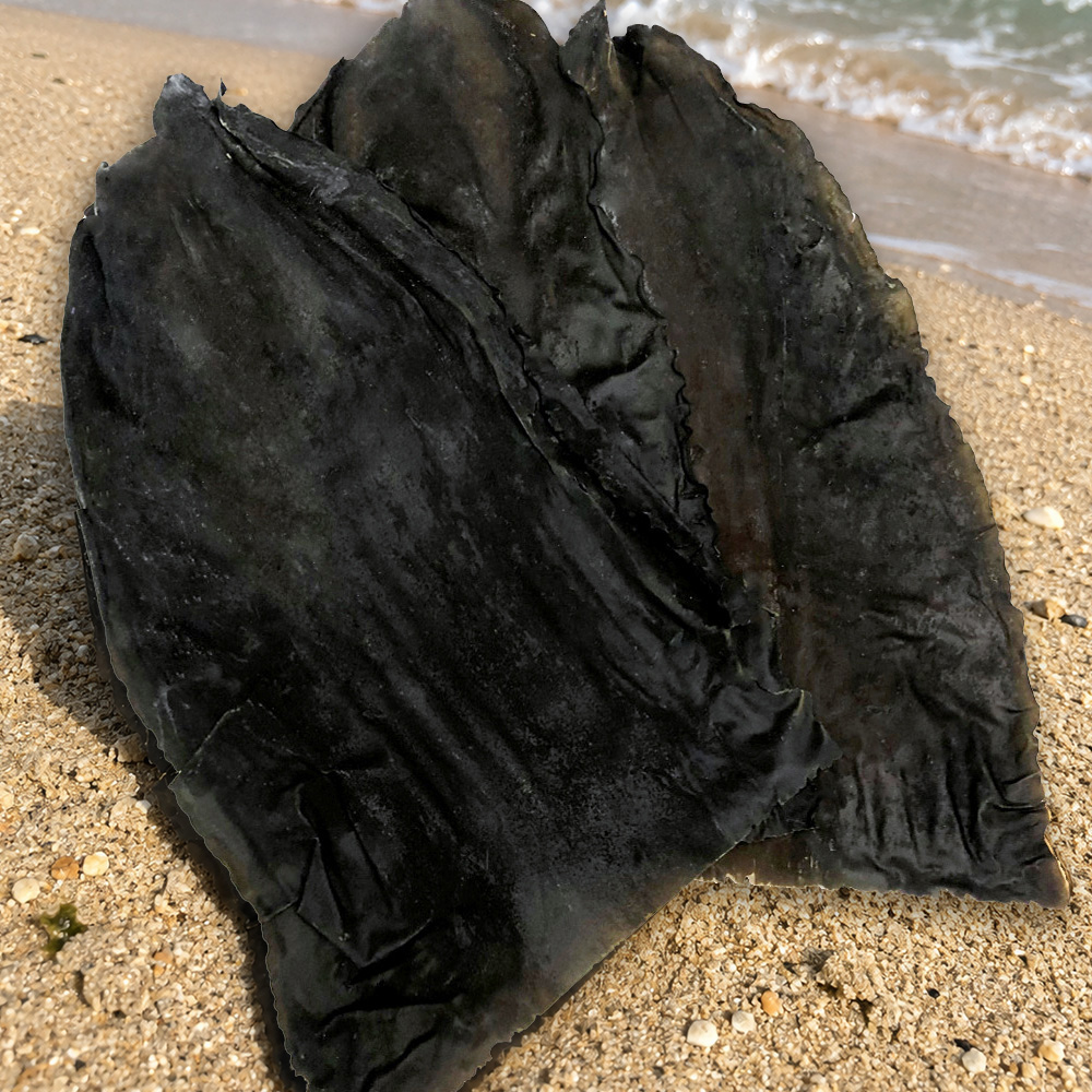 완도산 햇 건다시마(상급) 500g~1kg