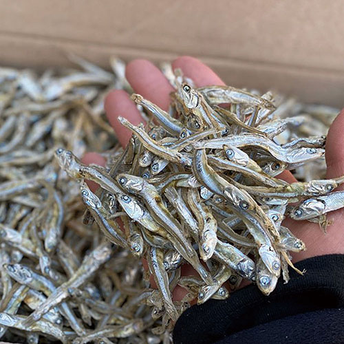 소금없이 삶은 국산 무염멸치 300g 대표이미지 섬네일