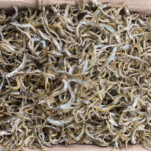 볶음/조림용 국산 햇 까나리 300g~1.5kg