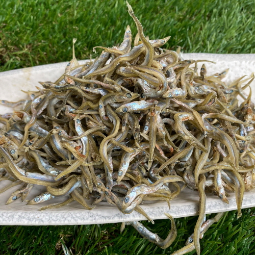 볶음/조림용 국산 햇 까나리 300g~1.5kg