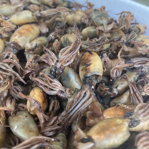 국산 햇 먹물꼴뚜기 500g~1kg