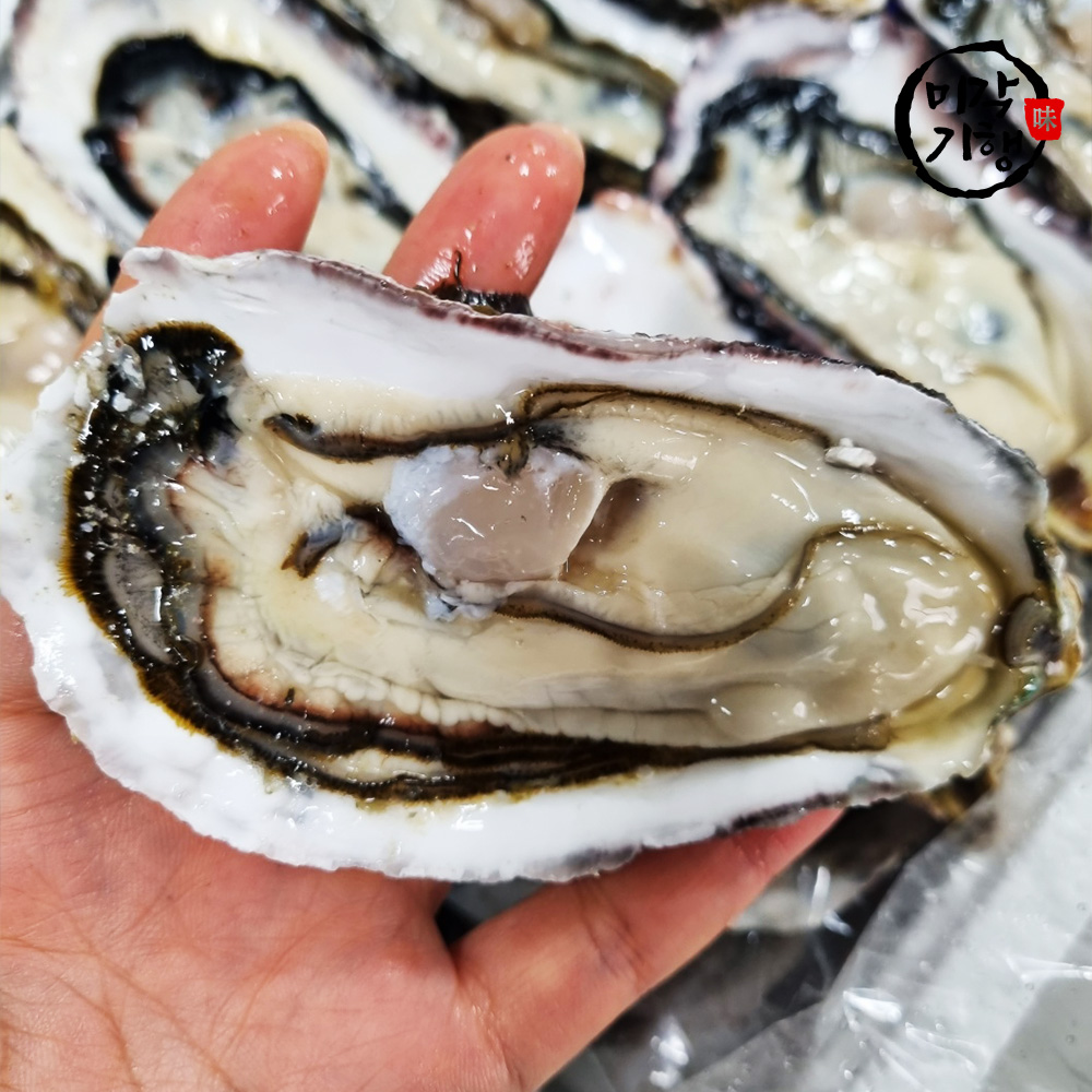 미각기행 반손질 하프셀 2.5kg