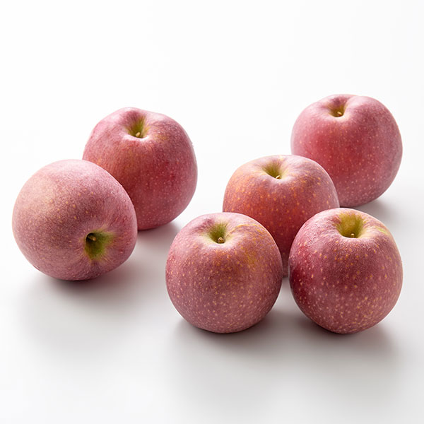 GAP 죽장 감홍사과(6입/1.6kg)