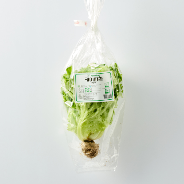무농약 카이피라 1봉(100g 내외)